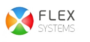 Системы флекс. Система для Флексы. Флекс Софтваре Системс. Подсистема Флекс. Флекс организация.